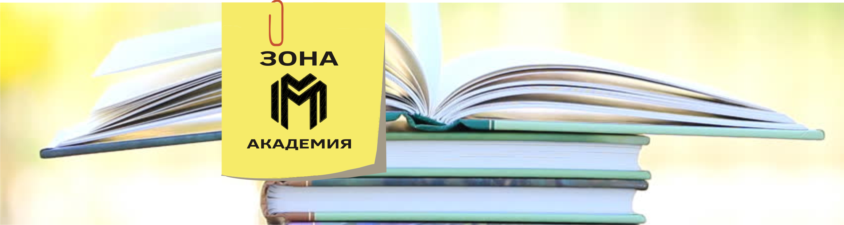 Zona Academy
